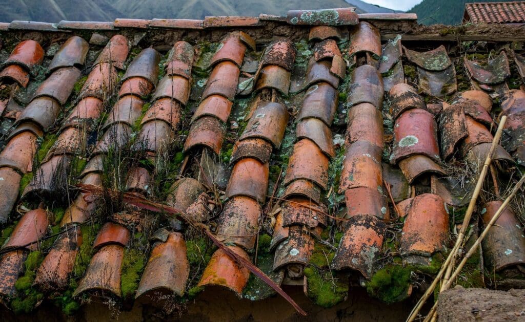 Old tiled roof of an abandoned house.